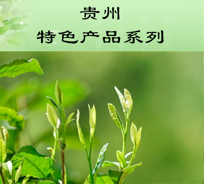 贵州特色产品系列——茶