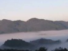 清晨的果园基地