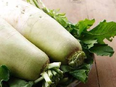 萝卜的种植管理