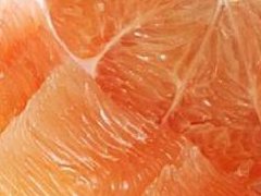 黄金蜜柚的种植技术